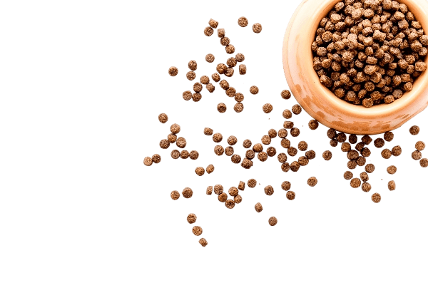 home1-pet-food